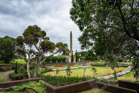 1799_Auckland_020720