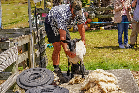 1815_Auckland_020720