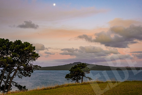 1872_Auckland_020720