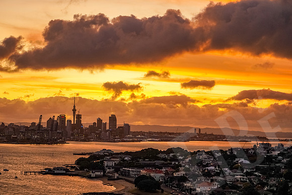 1880_Auckland_020720