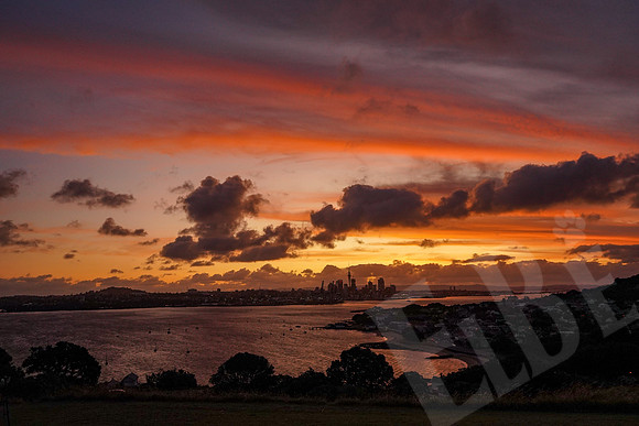 1887_Auckland_020720