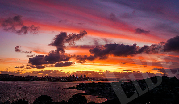 1892_Auckland_020720