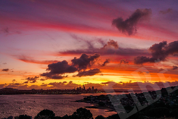 1894_Auckland_020720