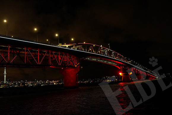1922_Auckland_020720