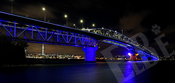 1953_Auckland_020720