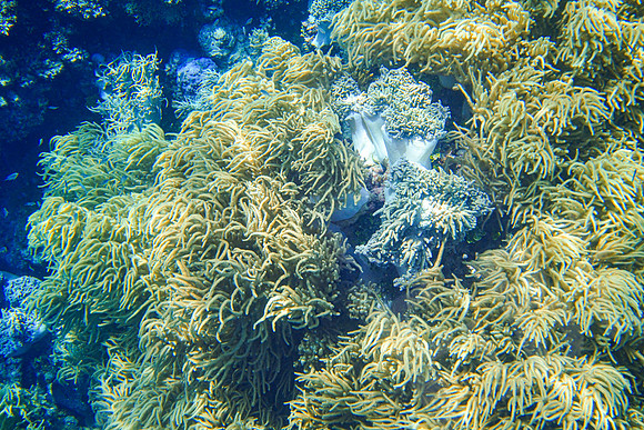 154_PortDouglas_012220