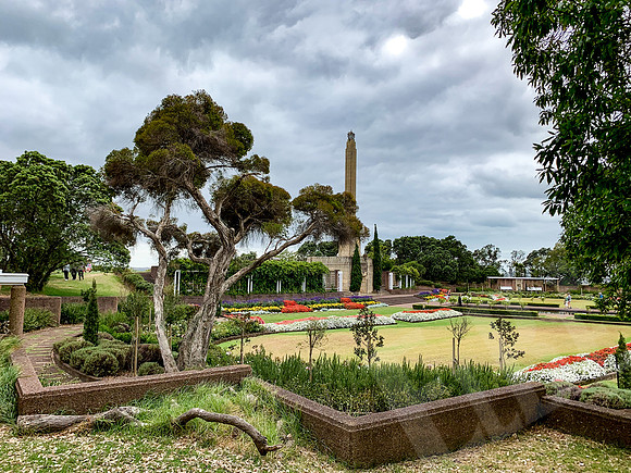 1736_Auckland_020620