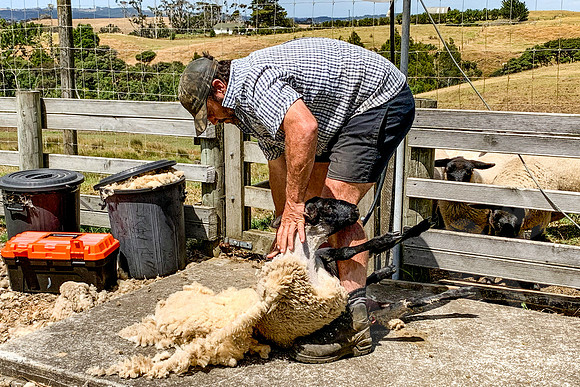 1744_Auckland_020620