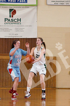 YCvCharCathV_050_20120128