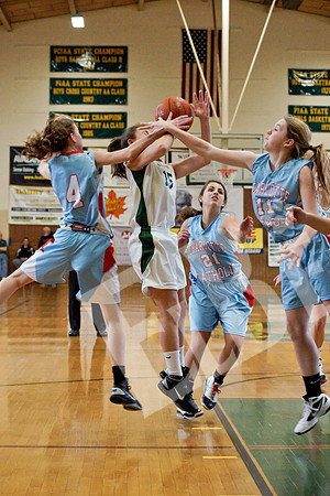 YCvCharCathV_085_20120128