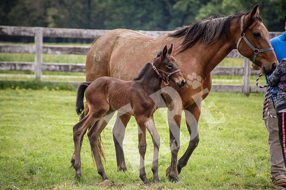 HanoverFarms_003_20130511