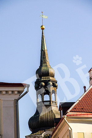 Tallinn_010_050117