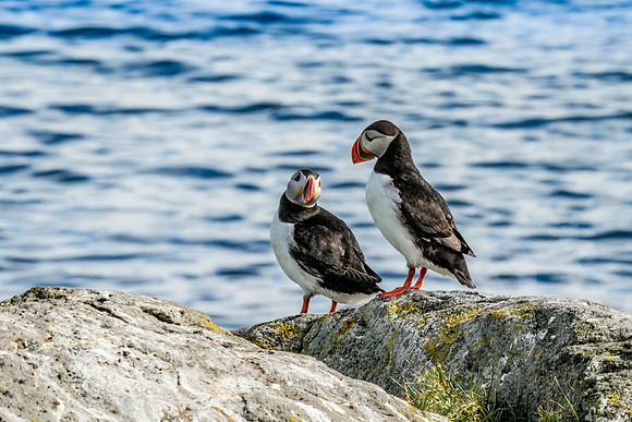 Iceland_253_063022