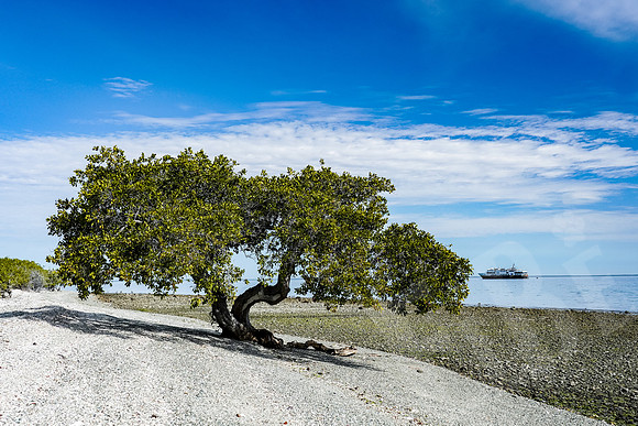 Baja_715_011222