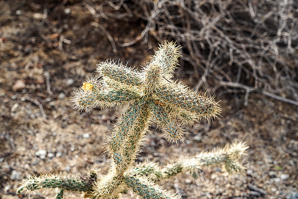 Baja_099_011022