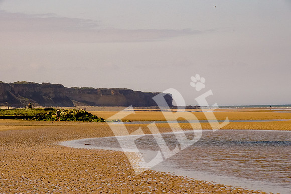 Normandy_131_042317