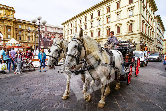 ItalyFlorence_152_091915