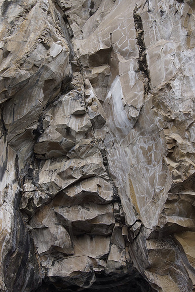 IMG_0150