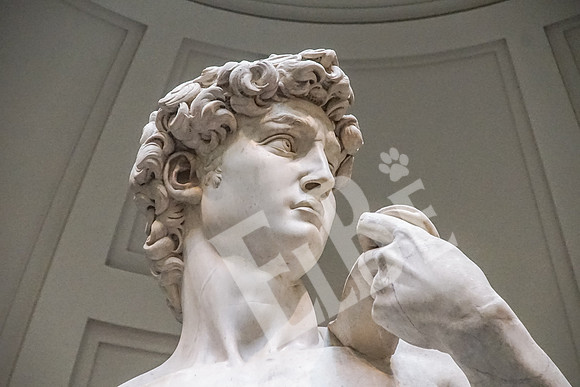 ItalyFlorence_087_091915