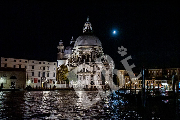 ItalyVenice_284_092115