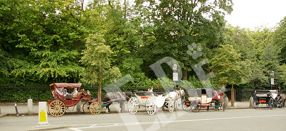 Ireland_966_20110804