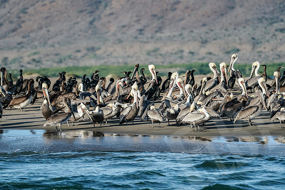 Baja_1057_011422