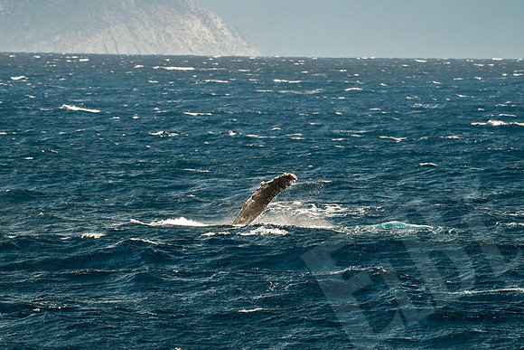 Baja_266_011122