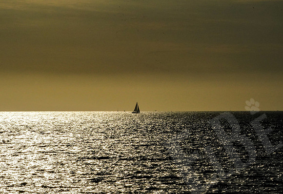 Baja_609_011122