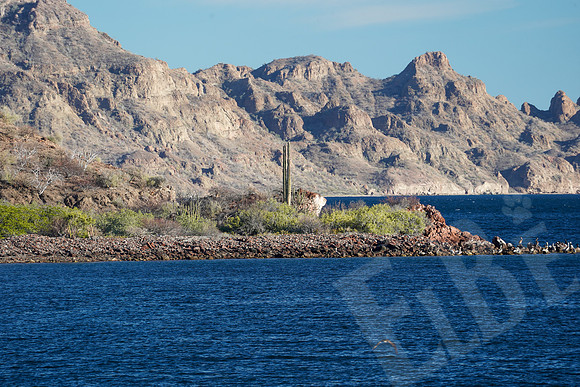 Baja_002_010822