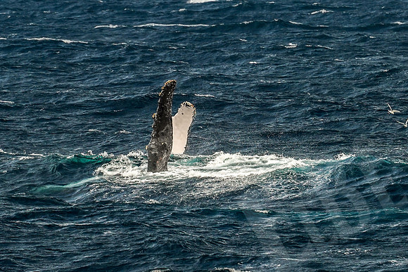 Baja_411_011122