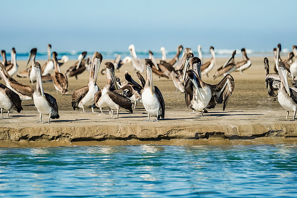 Baja_804_011322