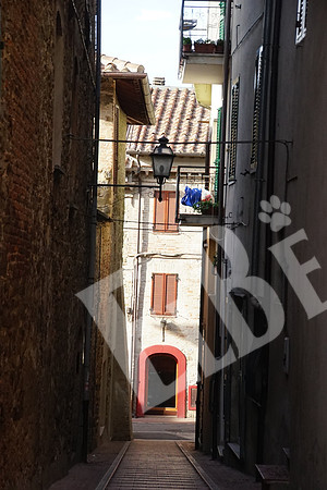 ItalyTorgiono_010_091515