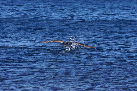 IMG_0130