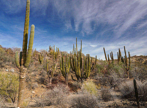 Baja_093_011022