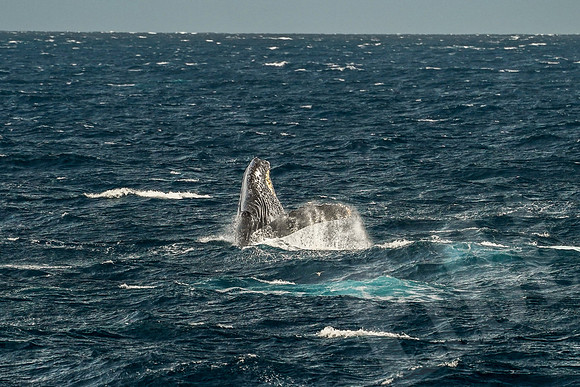 Baja_361_011122