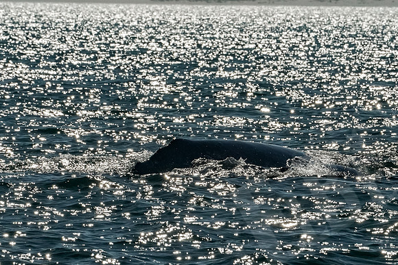 Baja_883_011322