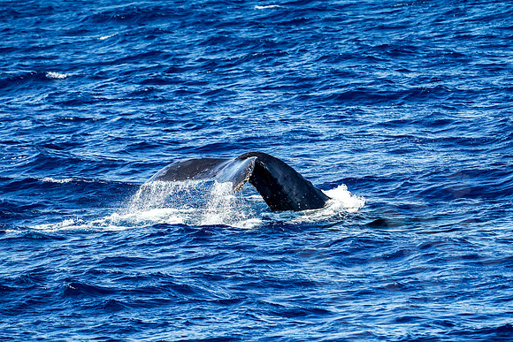 Baja_535_011122