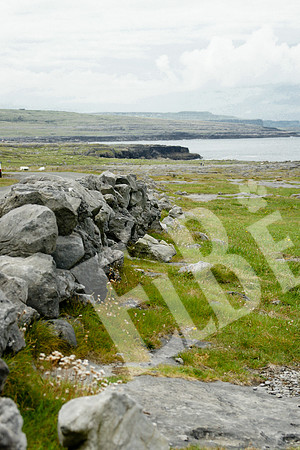 Ireland_260_20110801