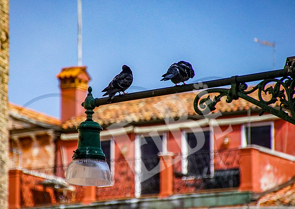 ItalyVenice_366_092215