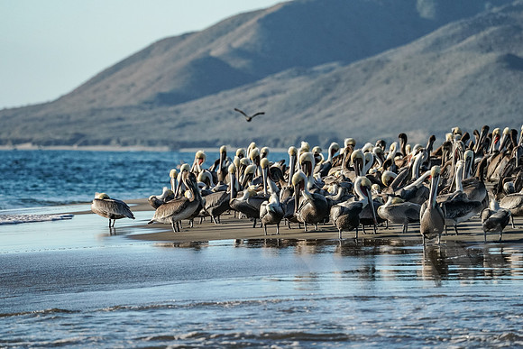 Baja_1051_011422