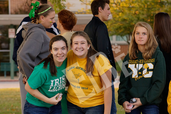 YCvEastrnFan_002_20131018
