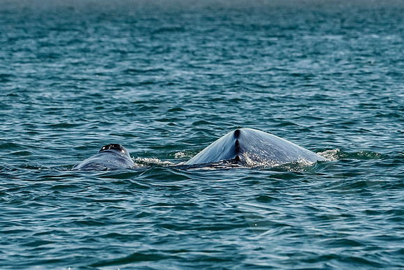 Baja_891_011322