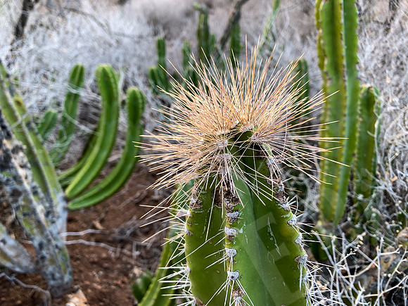 Baja_1370_010922
