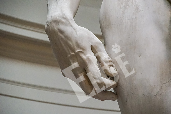 ItalyFlorence_088_091915