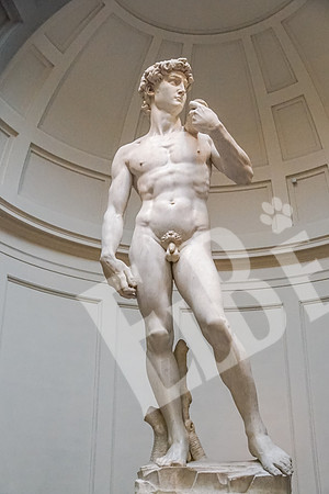 ItalyFlorence_083_091915