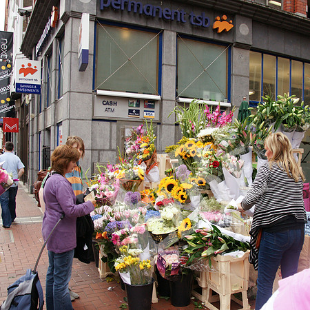 Ireland_957_20110804