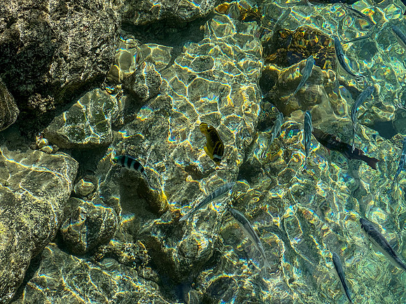 TahitiPC_025_022825