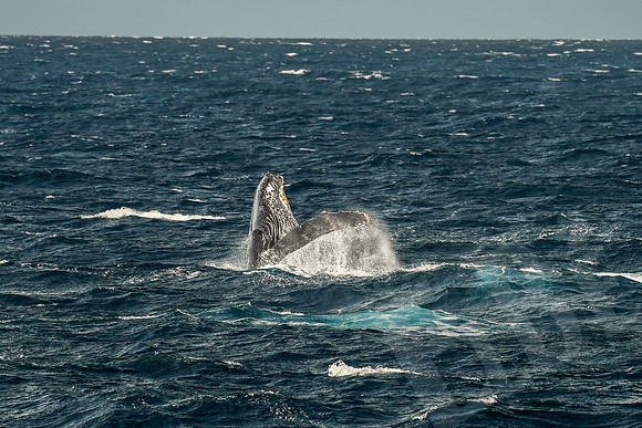 Baja_363_011122