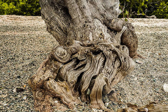 Baja_737_011222