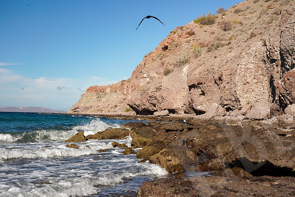 Baja_036_010922